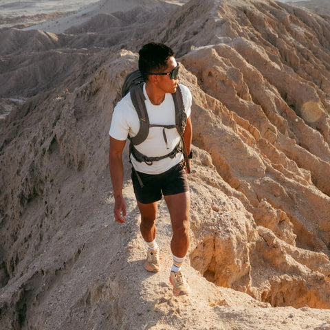 Men's Fastpack Micro Crew Lightweight Hiking Socks