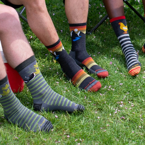 Men's Sunset Ridge Micro Crew Lightweight Hiking Socks