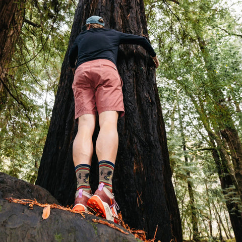 Men's Willoughby Micro Crew Lightweight Hiking Socks